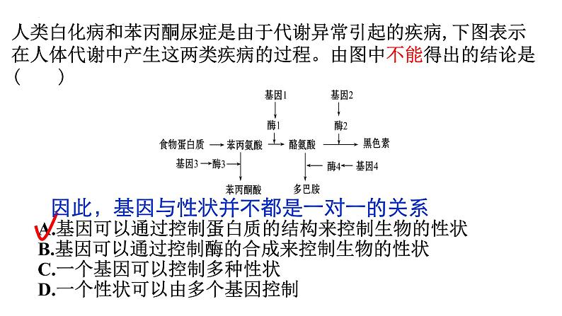 2022届高三生物一轮复习课件：基因的表达第2页