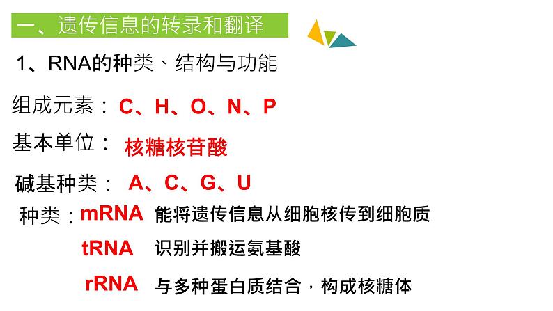 2022届高三生物一轮复习课件：基因的表达第5页