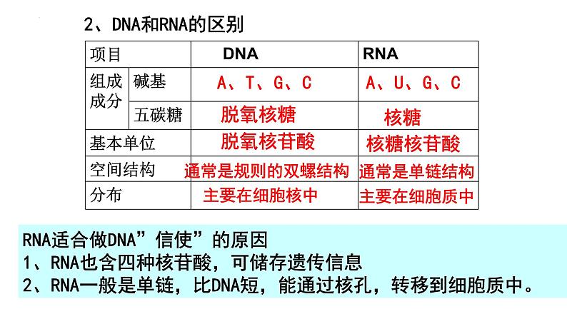 2022届高三生物一轮复习课件：基因的表达第6页