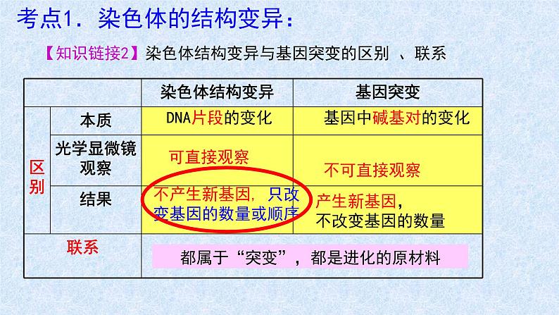 2022届高三生物一轮复习课件：染色体变异第5页