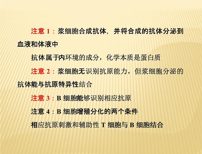 2022届高三生物一轮复习课件：体液免疫和细胞免疫第3页