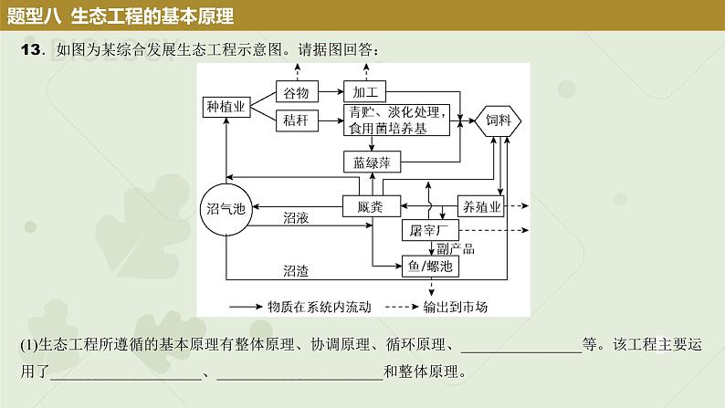 2023届高考生物一轮专题复习课件：生态工程第8页