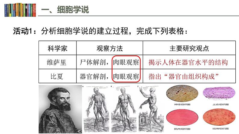 1.1 细胞是生命活动的基本单位 课件04