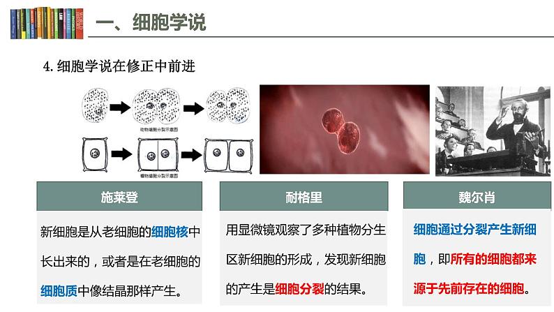 1.1 细胞是生命活动的基本单位 课件07