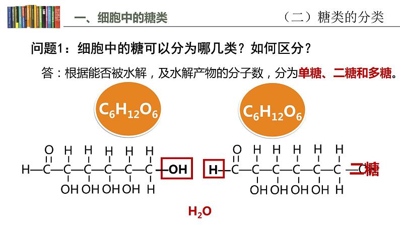 2.3 细胞中的糖类和脂质第7页