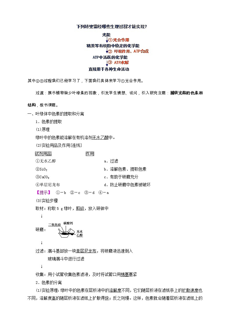 高中生物人教版必修一5.4.1光合作用与能量转化教案02