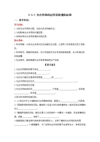 高中生物人教版 (2019)必修1《分子与细胞》二 光合作用的原理和应用学案