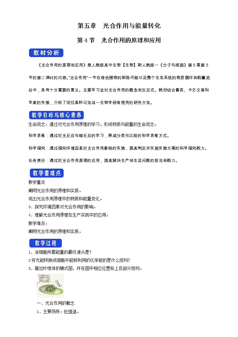 5.4.2光合作用与能量转化第1页
