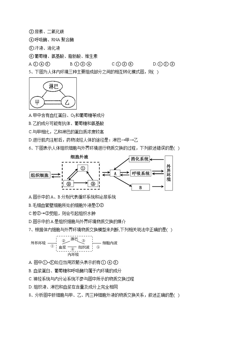 2022-2023学年人教版（2019）选择性必修一第1章 人体的内环境与稳态  单元测试卷(word版含答案)第2页
