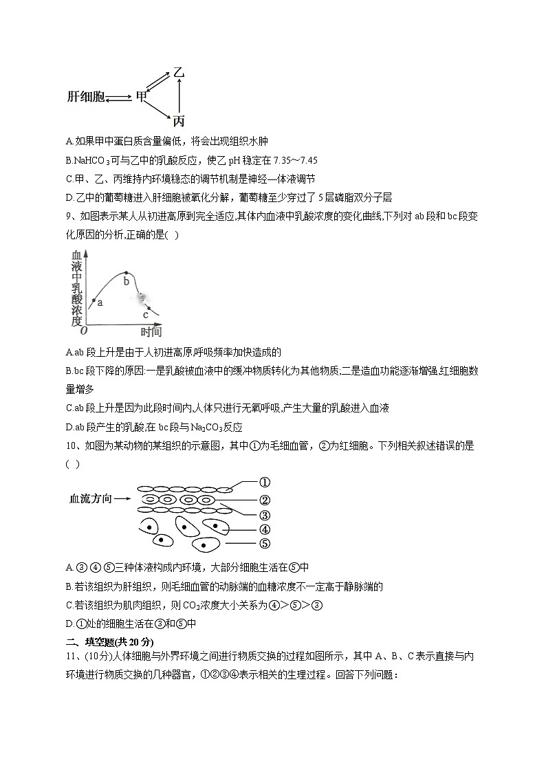 2022-2023学年人教版（2019）选择性必修一第1章 人体的内环境与稳态  单元测试卷(word版含答案)第3页