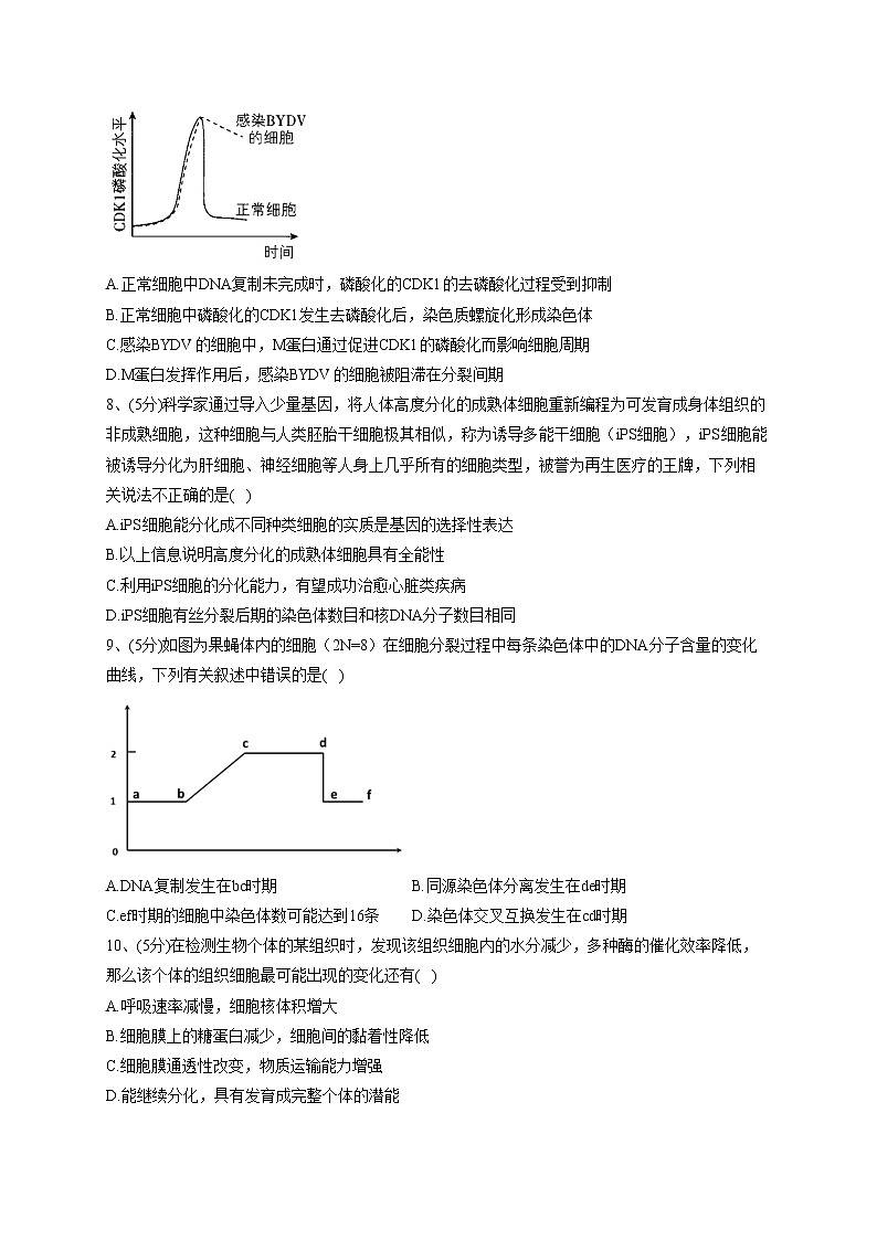 2022-2023学年北师大版（2019）必修一第五章 细胞的生命历程   单元测试卷(word版含答案)03