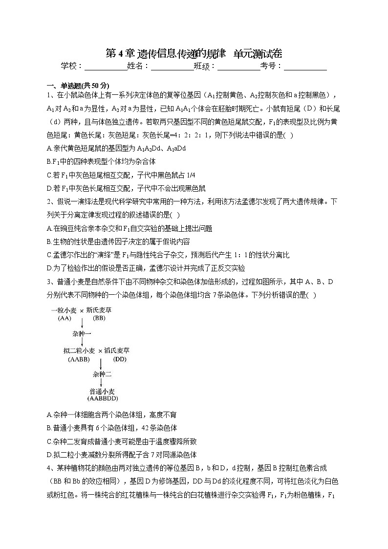 2022-2023学年北师大版（2019）必修二第4章 遗传信息传递的规律   单元测试卷(word版含答案)第1页