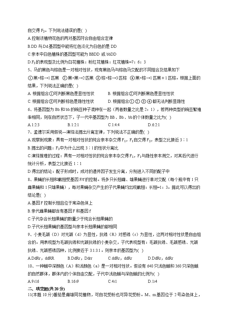 2022-2023学年北师大版（2019）必修二第4章 遗传信息传递的规律   单元测试卷(word版含答案)第2页