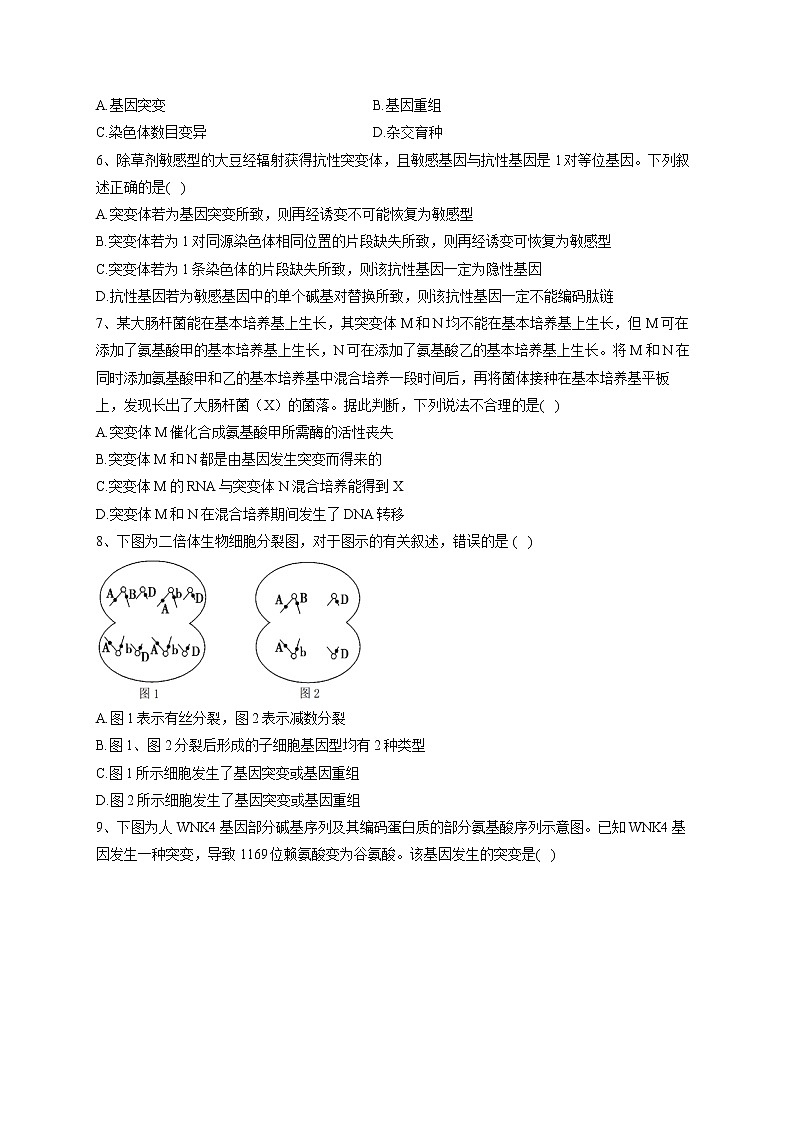2022-2023学年北师大版（2019）必修二第5章 遗传信息的改变  单元测试卷(word版含答案)第2页