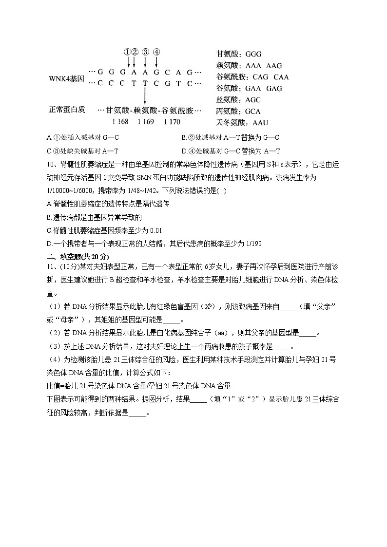 2022-2023学年北师大版（2019）必修二第5章 遗传信息的改变  单元测试卷(word版含答案)第3页