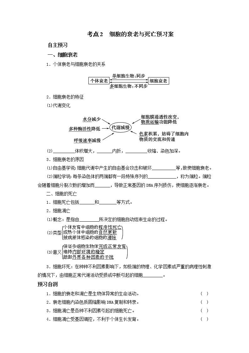 山东省2023届高三生物一轮复习 第13讲 考点二 细胞的衰老和凋亡第1页