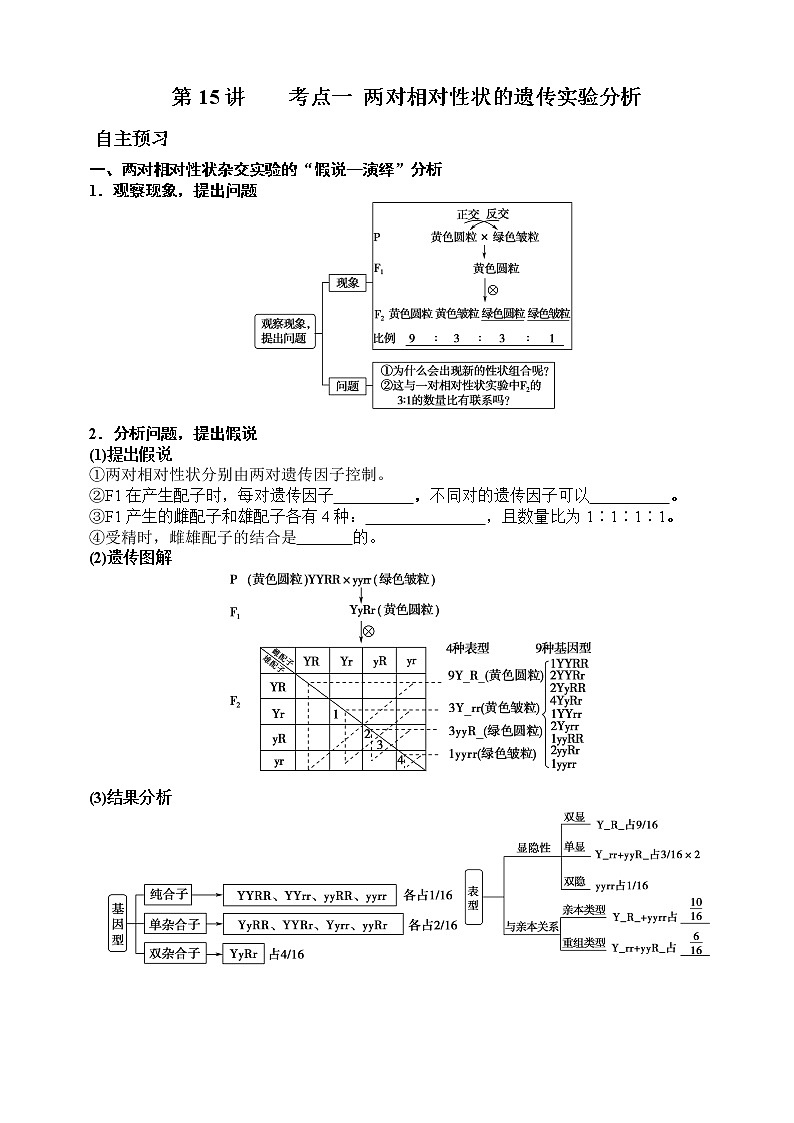 山东省2023届高三生物一轮复习 第15讲    考点一 两对相对性状的遗传实验分析第1页