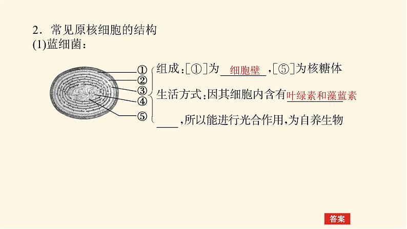 人教版高中生物学必修一第1章走近细胞导学案+课件06