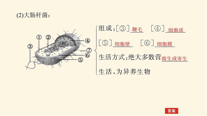 人教版高中生物学必修一第1章走近细胞导学案+课件07