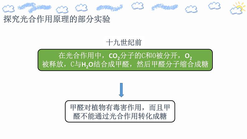 5.4.2光合作用的原理和应用第6页