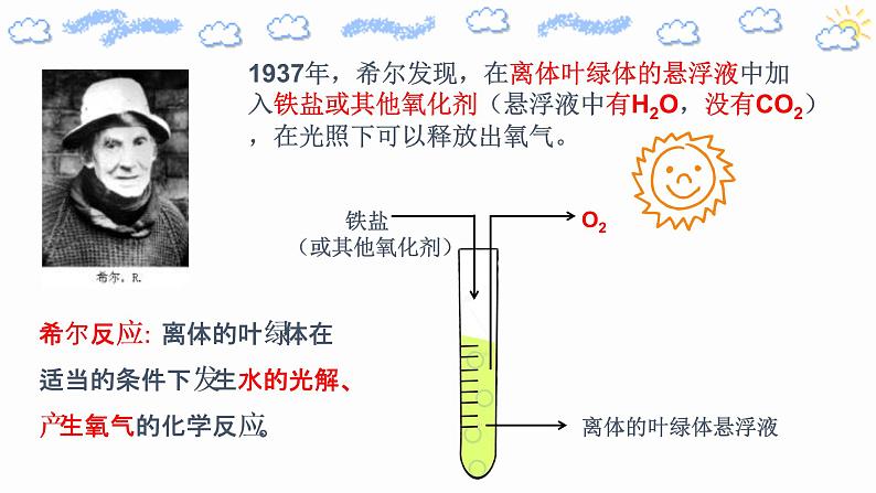 5.4.2光合作用的原理和应用第7页