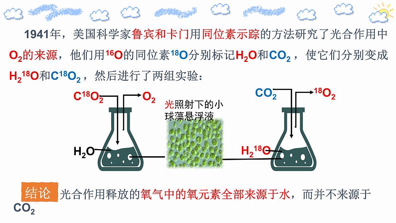 5.4.2光合作用的原理和应用第8页