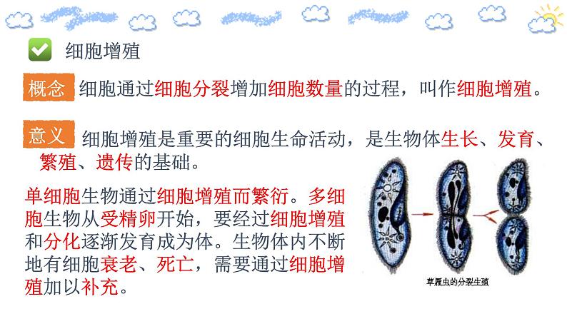 6.1.1细胞的增殖（第一课时）第5页