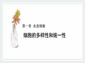 1.2 细胞的多样性和统一性 课件