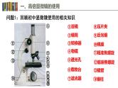 1.2 细胞的多样性和统一性 课件