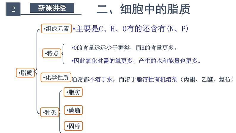 2.3组成细胞的分子细胞中的糖类第二课时第4页