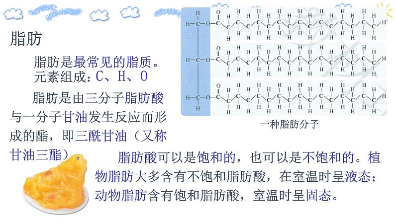 2.3组成细胞的分子细胞中的糖类第二课时第5页