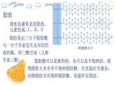 2.3细胞中的糖类和脂质细胞中的糖类第二课时 课件