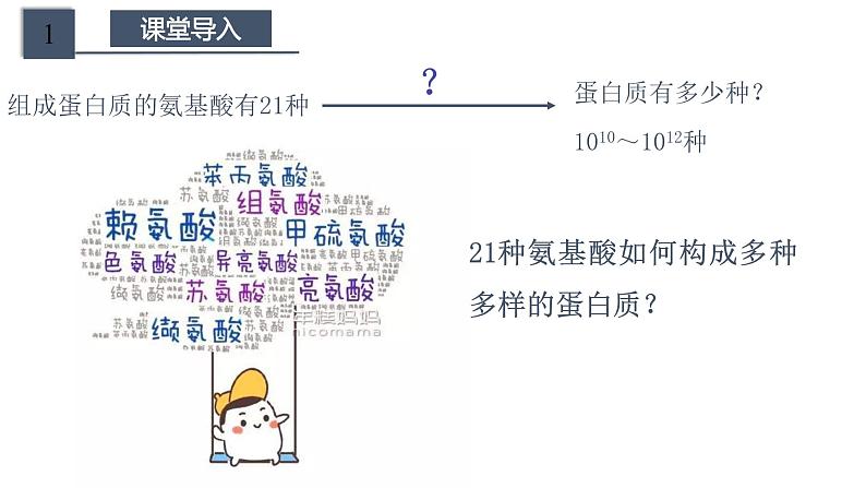 2.4.2蛋白质是生命活动的主要承担者）第3页