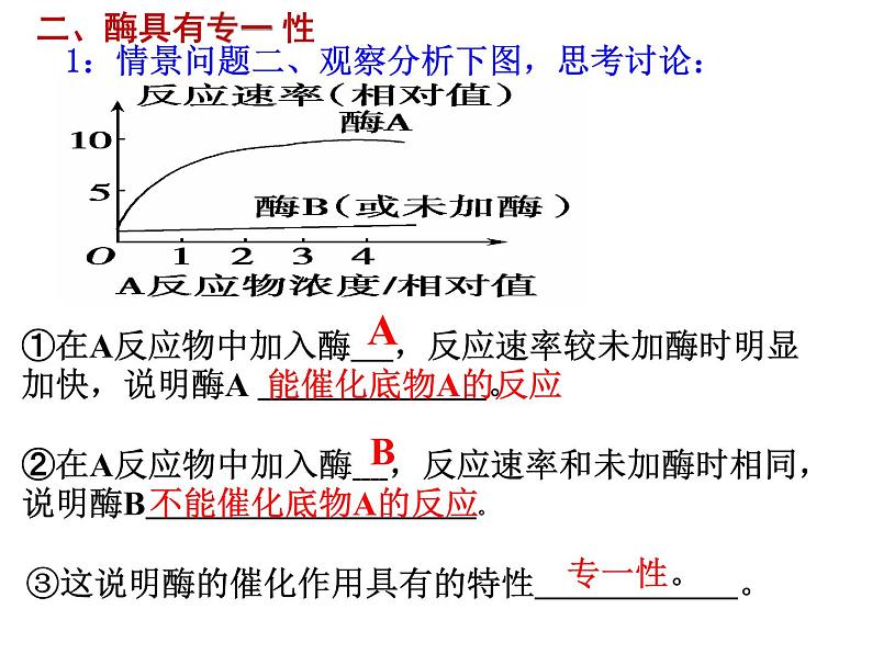 5.1降低化学反应活化能的酶 课件05