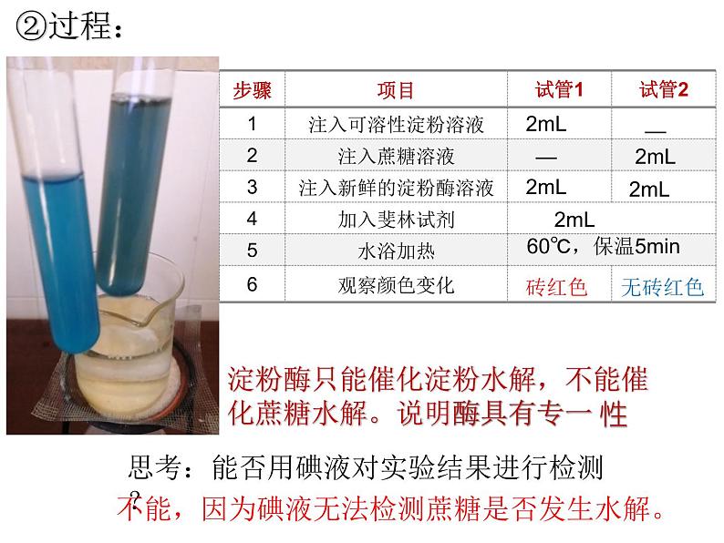 5.1降低化学反应活化能的酶 课件08