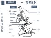 1.2细胞的多样性和统一性 课件