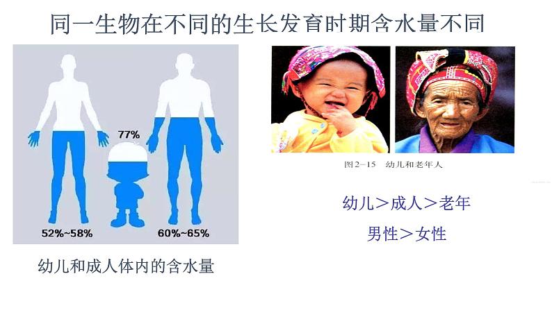 2.2细胞中的无机物 课件06