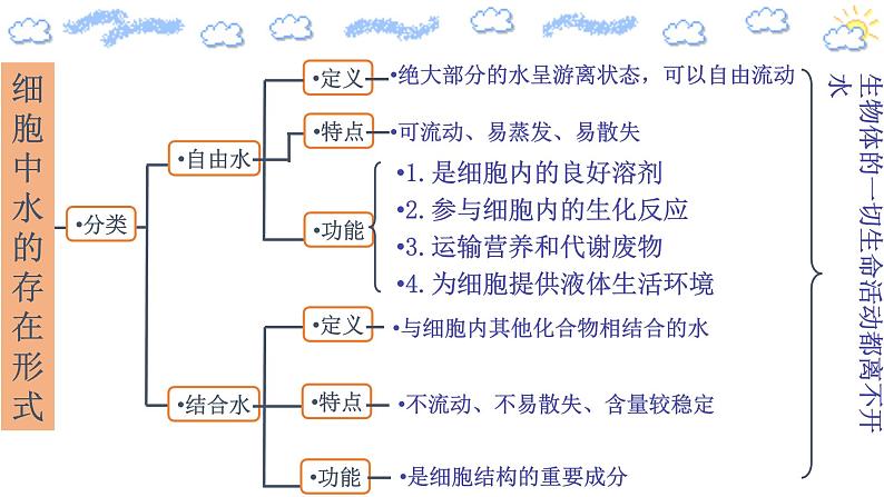 2.2细胞中的无机物 课件08