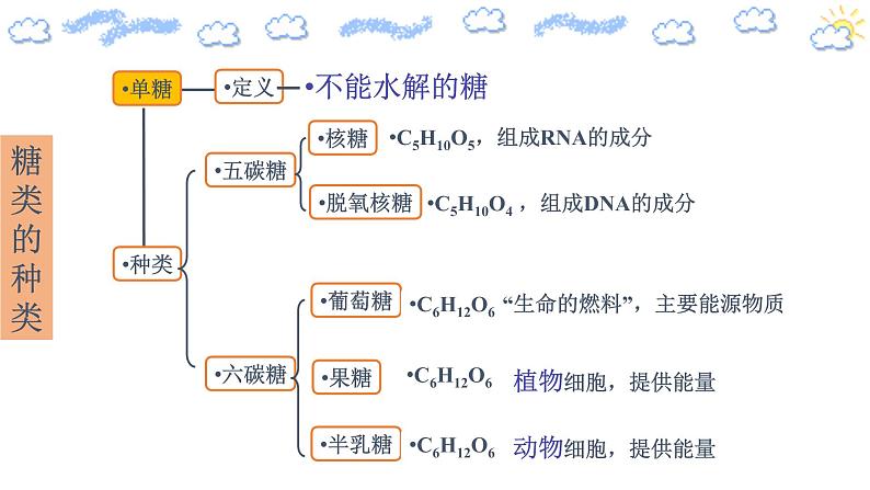 2.3组成细胞的分子细胞中的糖类第一课时第8页