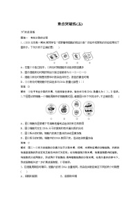 人教版 (2019)必修1《分子与细胞》第2章 组成细胞的分子第4节 蛋白质是生命活动的主要承担者学案及答案