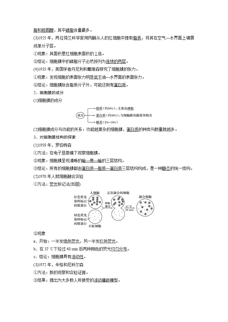 第3章第1节细胞膜的结构和功能 学案03