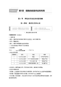 生物必修1《分子与细胞》第5章 细胞的能量供应和利用第1节 降低化学反应活化能的酶一 酶的作用和本质第1课时导学案及答案