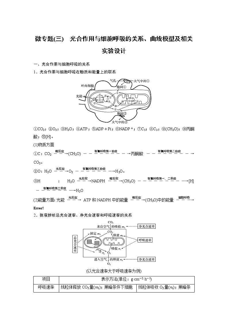 第5章微专题(三)光合作用与细胞呼吸的关系、曲线模型及相关实验设计01
