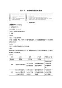 高中生物人教版 (2019)必修1《分子与细胞》第3节 细胞中的糖类和脂质学案设计