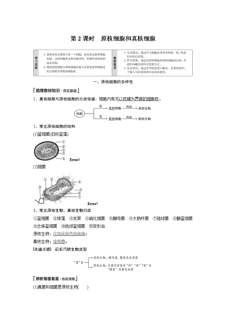 第1章第2节第2课时原核细胞和真核细胞 学案01