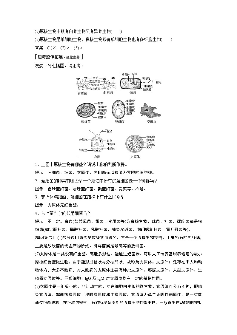 第1章第2节第2课时原核细胞和真核细胞 学案02
