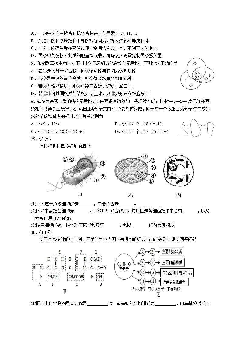 宁夏北方民族大学附属中学2022-2023学年高三上学期第一次月考理科综合生物试卷（Word版含答案）02