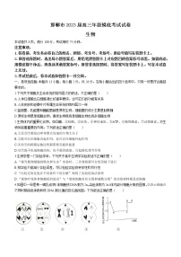 河北省邯郸市2022-2023学年高三上学期摸底考试生物试题（Word版含答案）