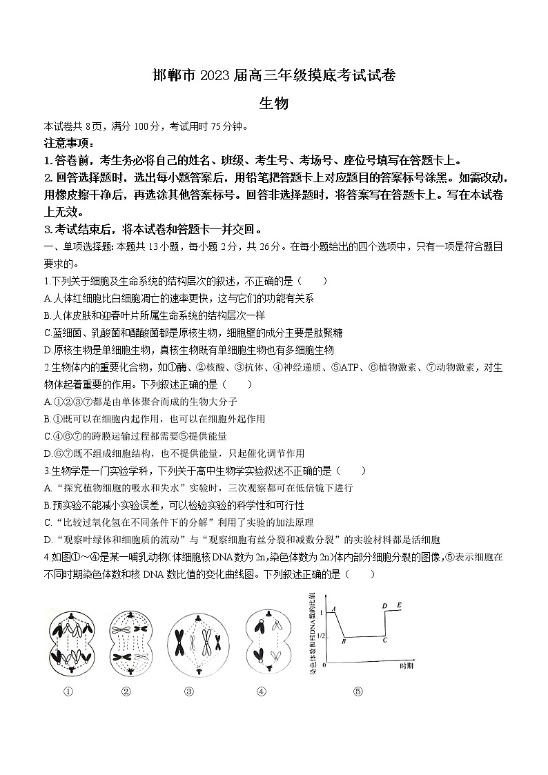 河北省邯郸市2022-2023学年高三上学期摸底考试生物试题（Word版含答案）01