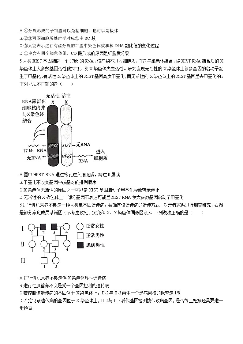 河北省邯郸市2022-2023学年高三上学期摸底考试生物试题（Word版含答案）02